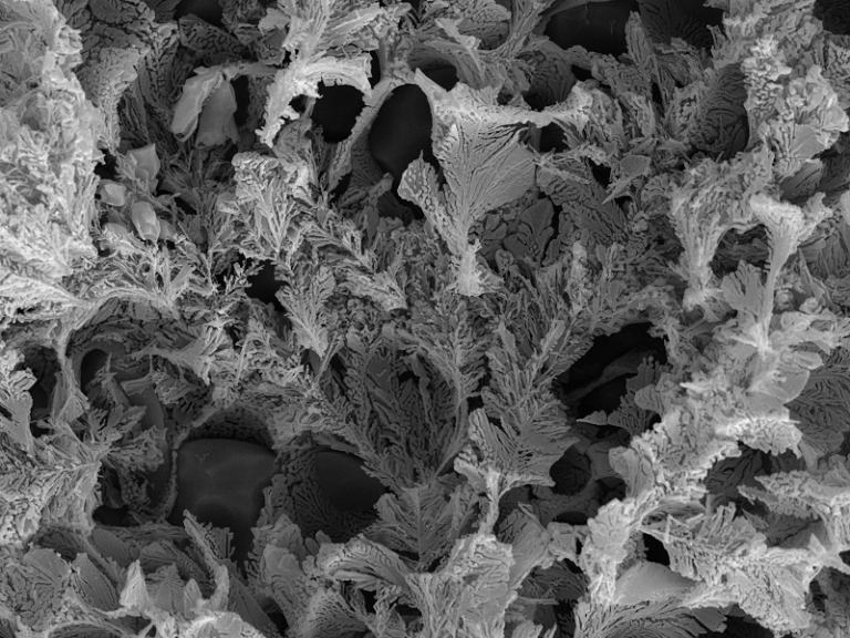 Forschung und Etwicklung RasterelektronenmikroskopleiREM Aufnahme Tiefengeätzt AlSi Legierung
